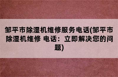 邹平市除湿机维修服务电话(邹平市除湿机维修 电话：立即解决您的问题)